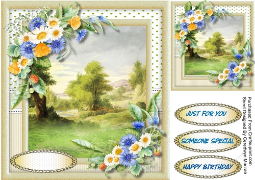 Daisys ,Cornflowers and Summer Scene 