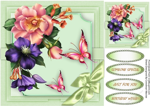 Summer Roses  and Butterflys 