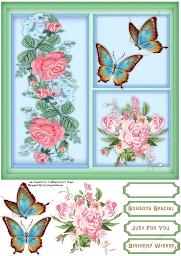 Butterflys and Roses 