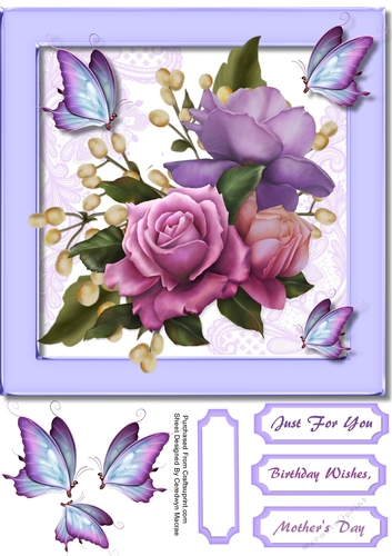 Beautiful Belleep Roses 