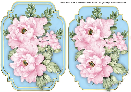 Beautiful Pink Peony Roses 