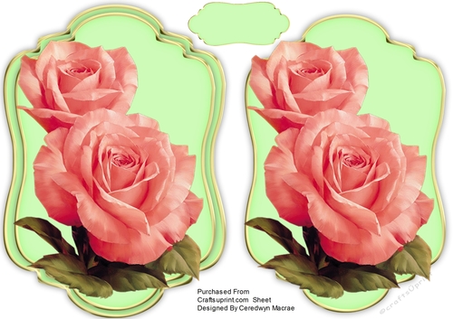 Beautiful Pink  Roses 