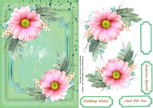 Beautiful Blush Flowers 