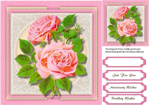 Pink Roses and Vintage Lace 