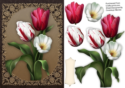 Vibrant Tulipson a Fillagree Mat 