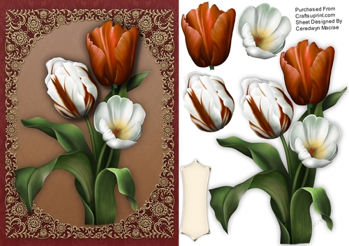 Vibrant Russet Tulips on a Fillagree Mat 