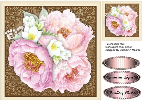 Beautiful Pink Peony Roses 