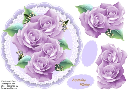 Lilac Roses and Lace 