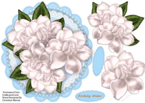 White Magnolias on lace 