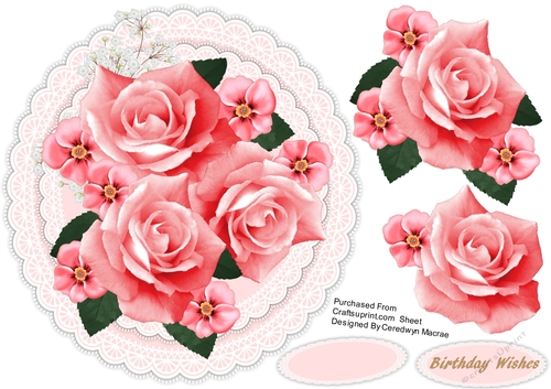 Pink Roses on lace 