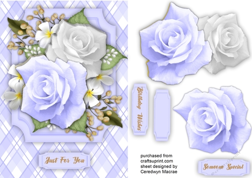 Lilac Roses and Babys Breath