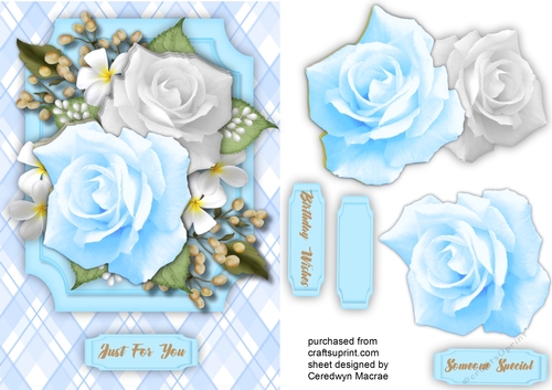 Pale Blue  Roses and Babys Breath