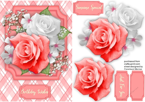 Pink    Roses and Babys Breath
