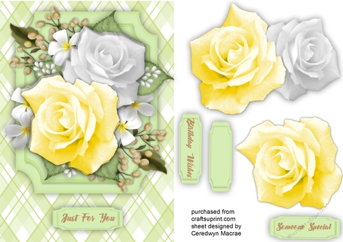    Yellow Roses and Babys Breath