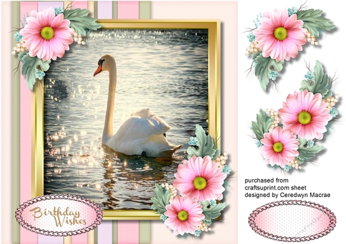 Beautiful Blush Flowers and Swan 