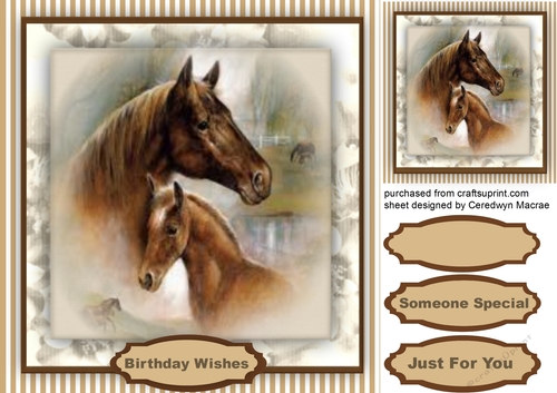 Lovely Mother and Foal