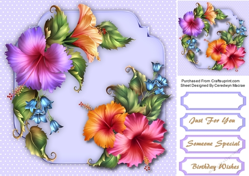 Beautiful Fashionly Florals 