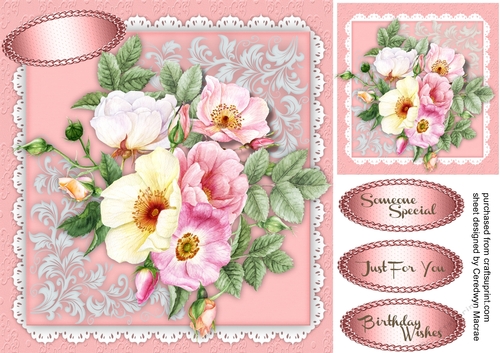 Beautiful Brier Roses on lace 