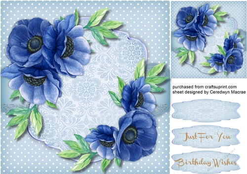 Beautifukl Blue Water Coloured Anemones 