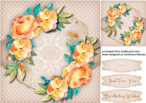 Beautiful Water Coloured Apricot Roses