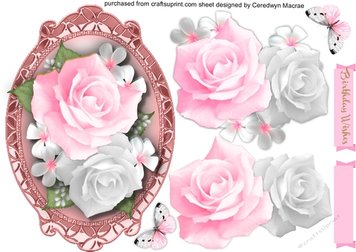 Beautiful Pink Roses in a Gilded  frame 