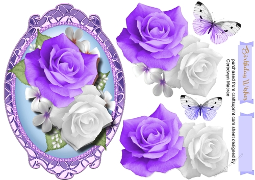 Beautiful lilac Roses in a Gilded  frame 