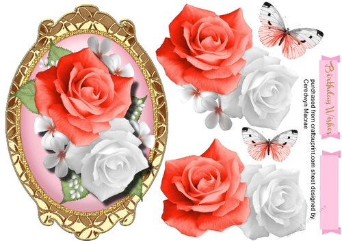Beautiful Pink  Roses in a Gilded  frame 