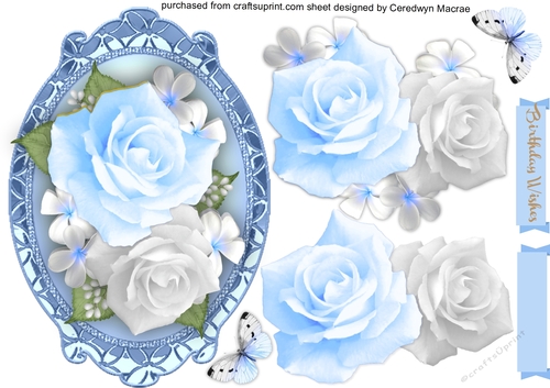 Beautiful Blue  Roses in a Gilded  frame 