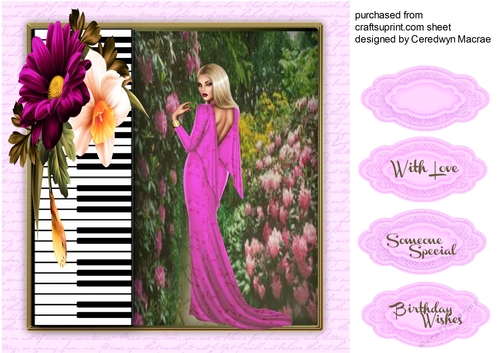 Lady in Hot Pink