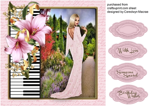 Lady in Pink