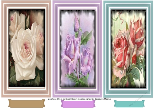 A Trio of Roses 1