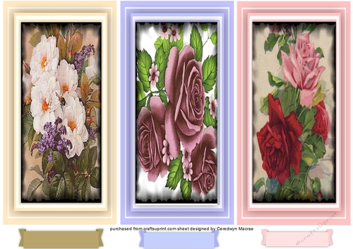 A Trio of Roses 2