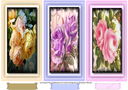 A Trio of Roses 3