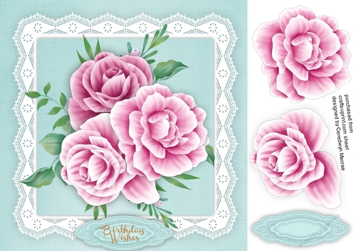 Beautiful Pink Peace Peony 