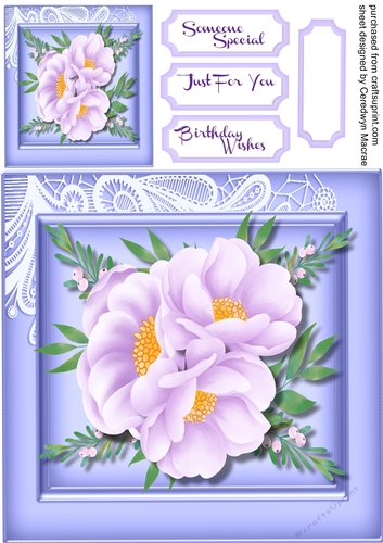 Beautiful Lilac Peony 