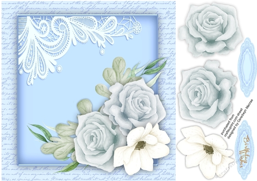 Beautiful Roses and Anemone
