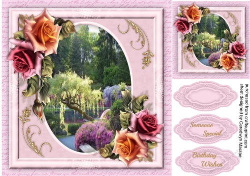 Beautiful Autumn Rose 