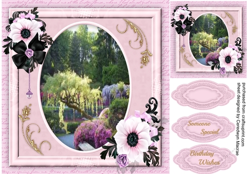 Beautiful Pink Channel Roses