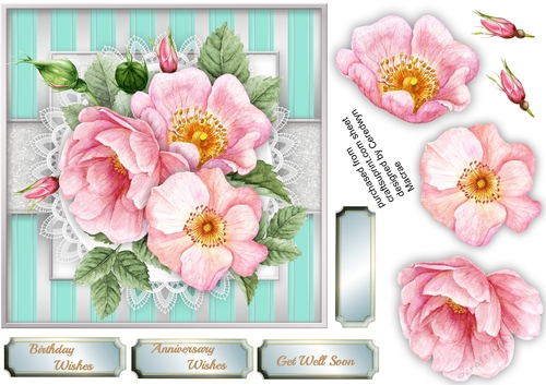 Beautiful  Water Coloured Brier Roses