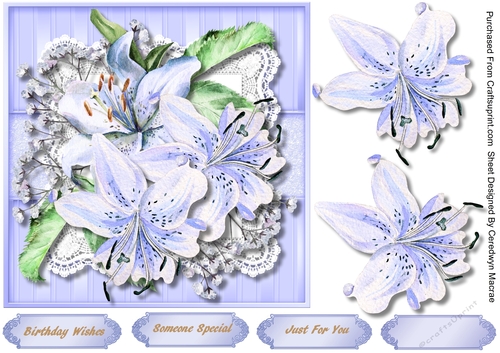 Beautiful Blue Tiger Lillys
