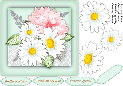 Beautiful Daisys and Pink Dahalia 