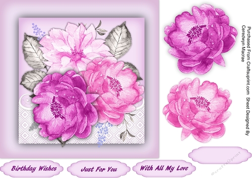 Stunning Lilac and Pink Roses