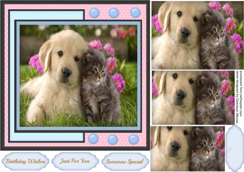 Beautiful Fur Friends In Pyramid 