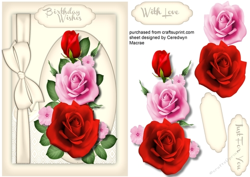 Beautiful Pink and Red Roses with Bow 