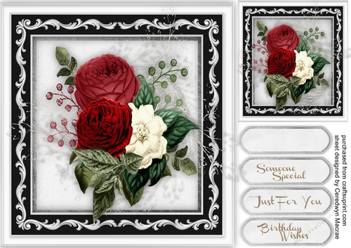 Beautiful Red and White Floral