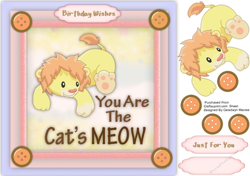 Love You ,Baby Tiger