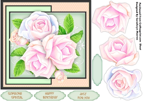 Stunning Pink and Blue  Roses 