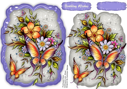 Beautiful Petal Wings  