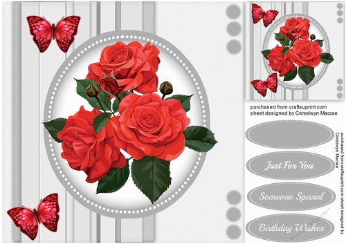 Beautiful Red Roses 4