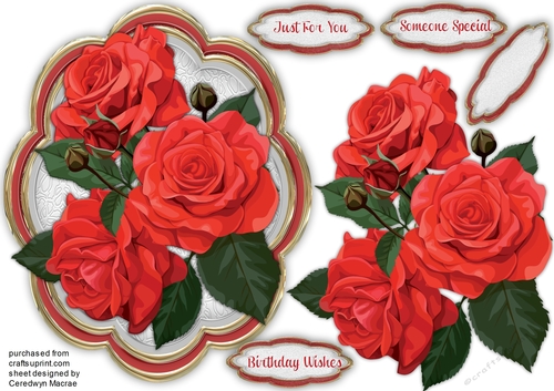Stunning Red Roses ona petal Mat 